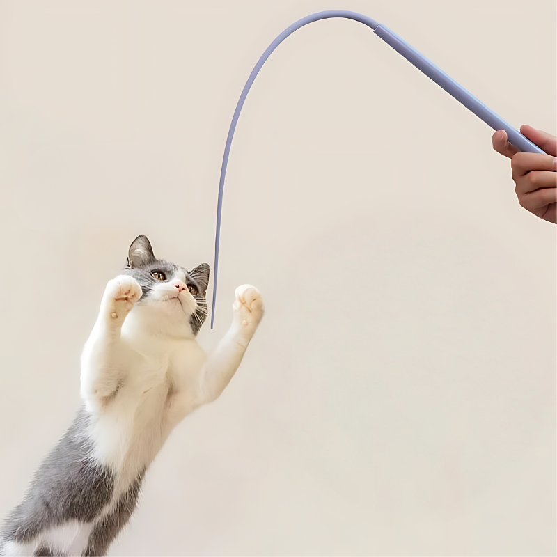 1+1 FREE | PawJoy – Keep Your Cat Active, Happy & Healthy