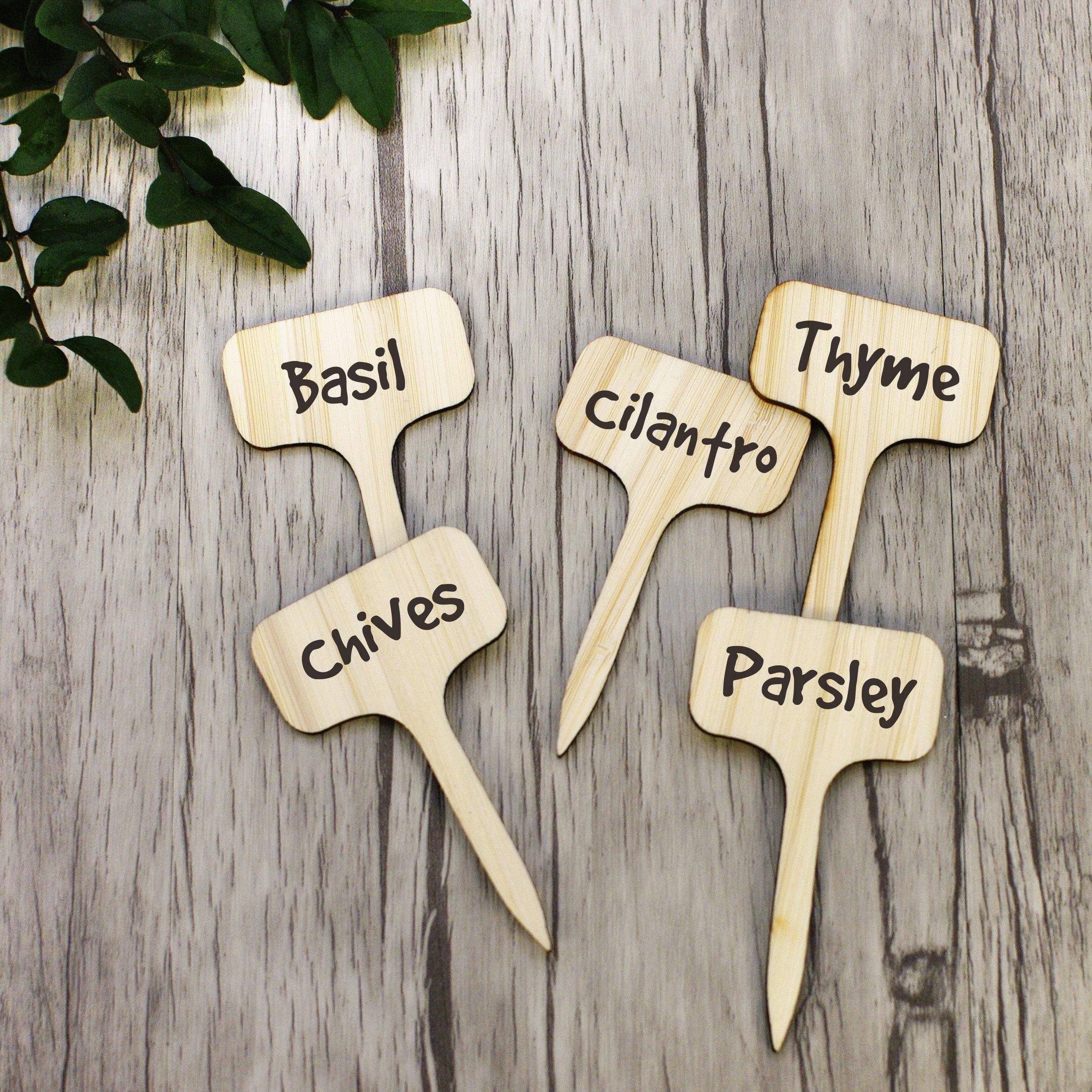PlantSign - Bamboo plant signs for garden & decoration
