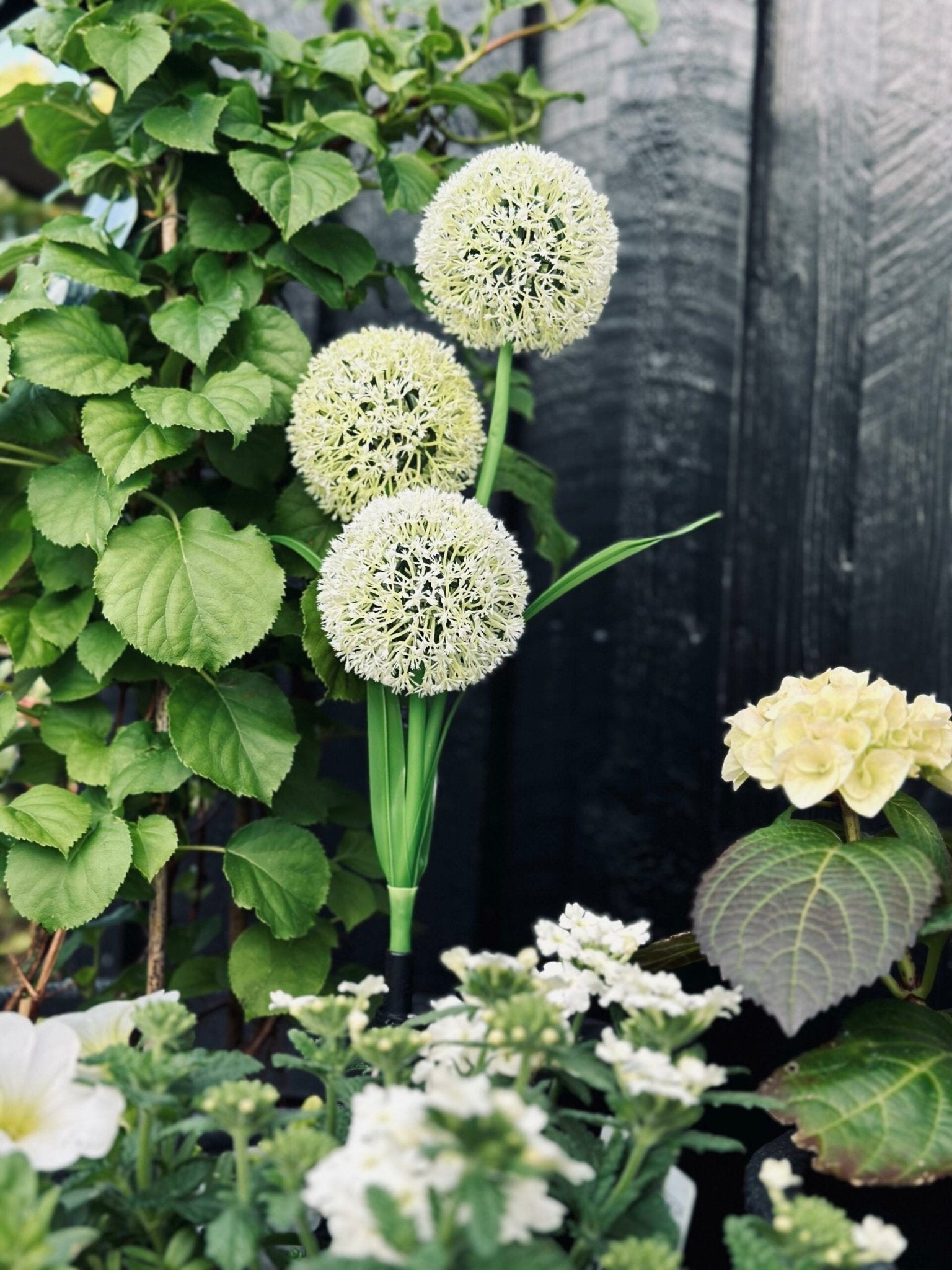 SolarBloom - Magical light for your garden