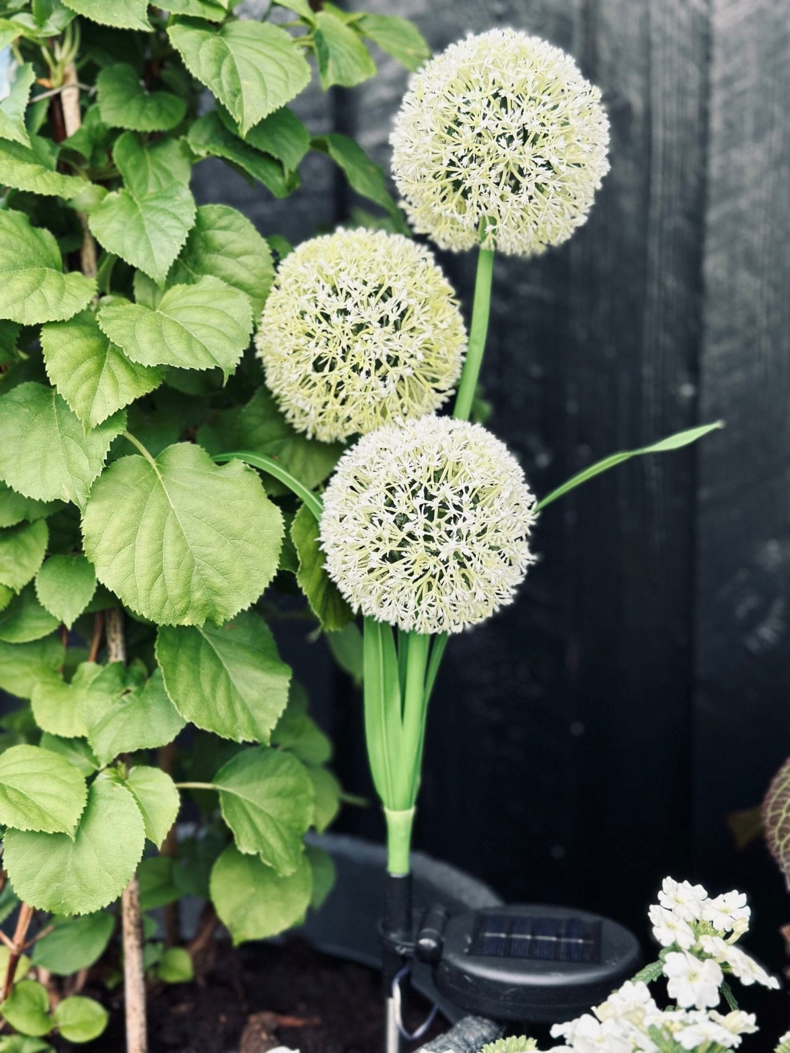 SolarBloom - Magical light for your garden