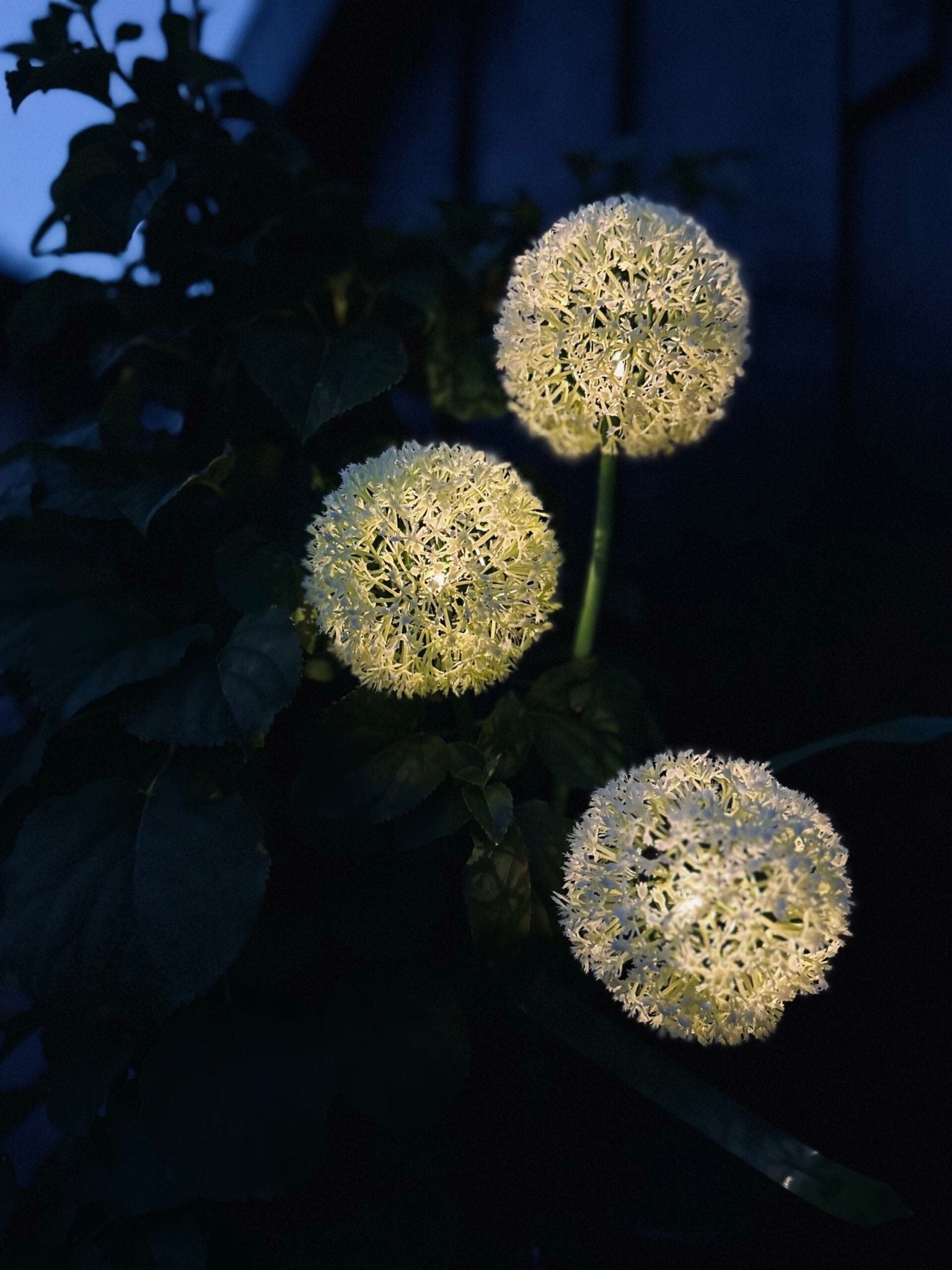SolarBloom - Magical light for your garden