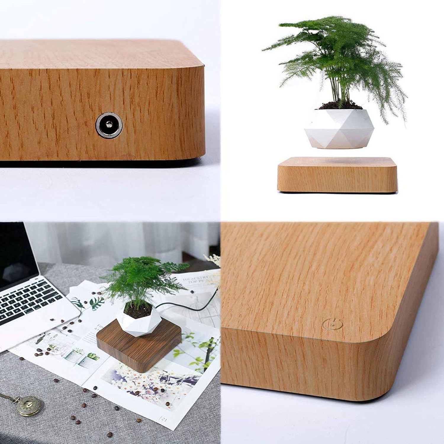 Plantlev – Floating Plant Pot with 360° Rotation for Modern Living