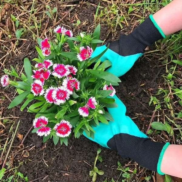 PlanterGlove - Gardening gloves with claws