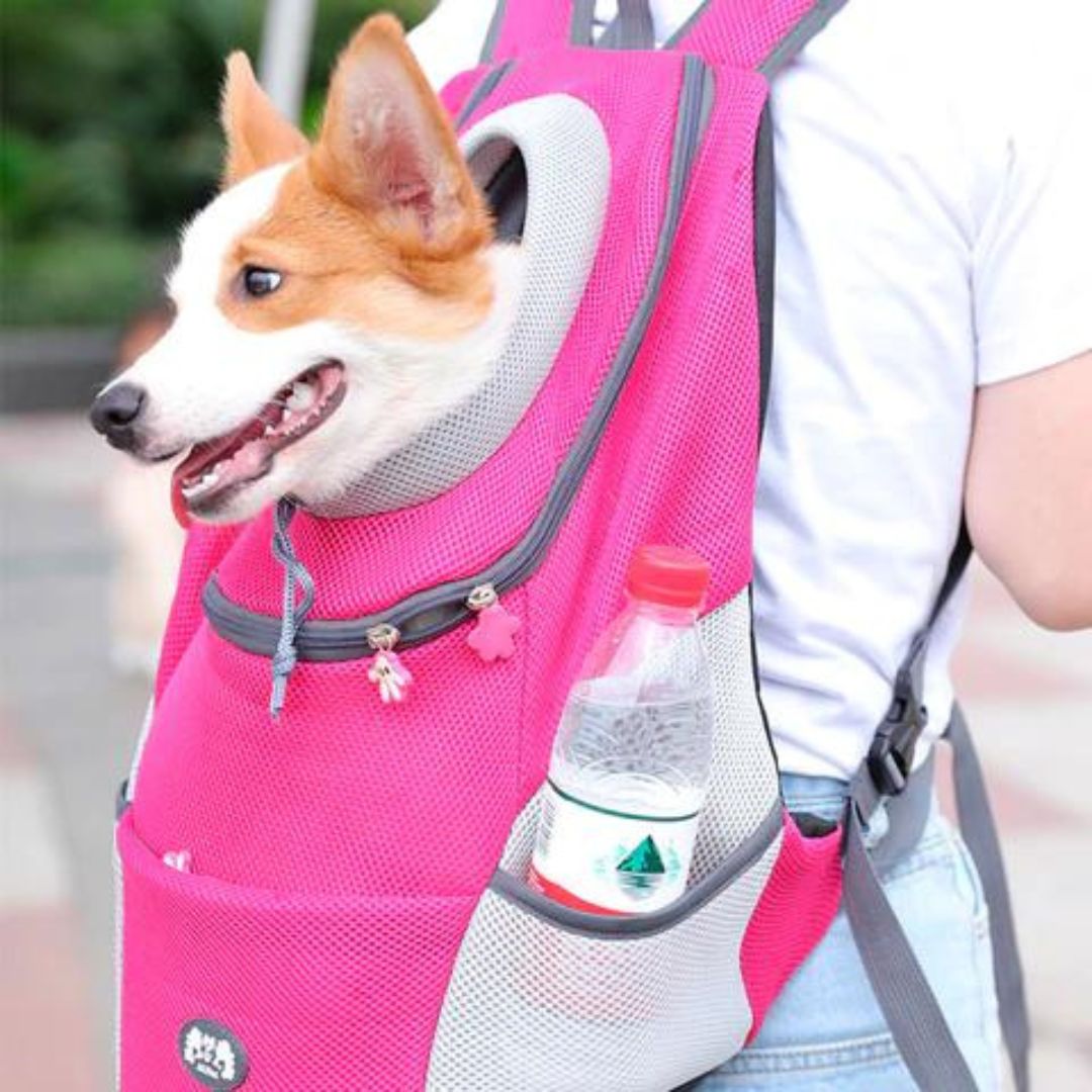 PawCarry – Your Pet's Perfect Travel Companion