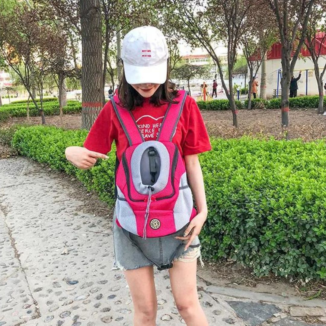 PawCarry – Your Pet's Perfect Travel Companion