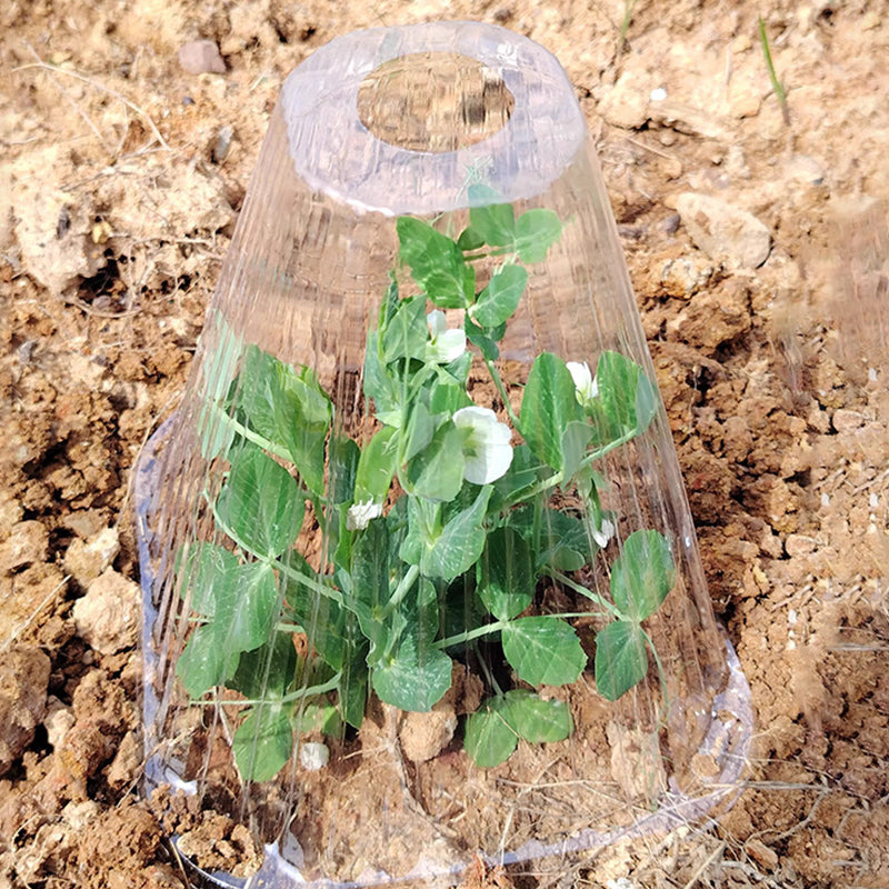 10+10 FREE | GrowGuard - Protection & warmth for healthy plants