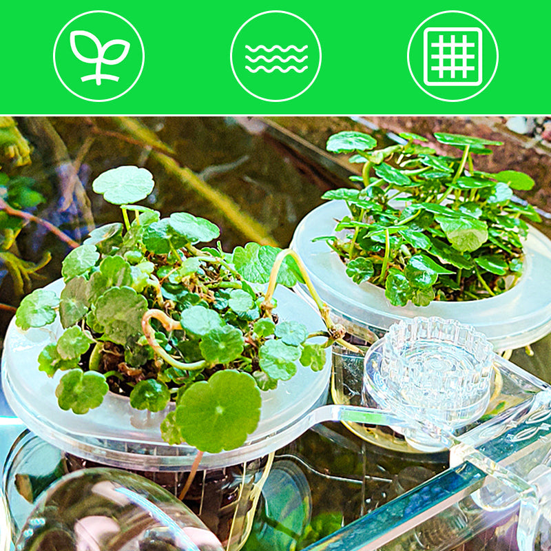 1+1 FREE | HydroScope - Root monitoring made easy