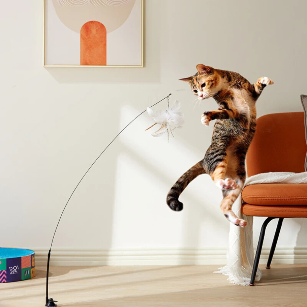 WildWing - Awaken your cat's inner hunter!